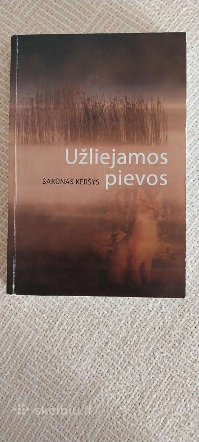 Romanai Detektyvai Fantastika Eilės - nuotraukos Nr. 9