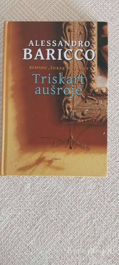 Romanai Detektyvai Fantastika Eilės - nuotraukos Nr. 31