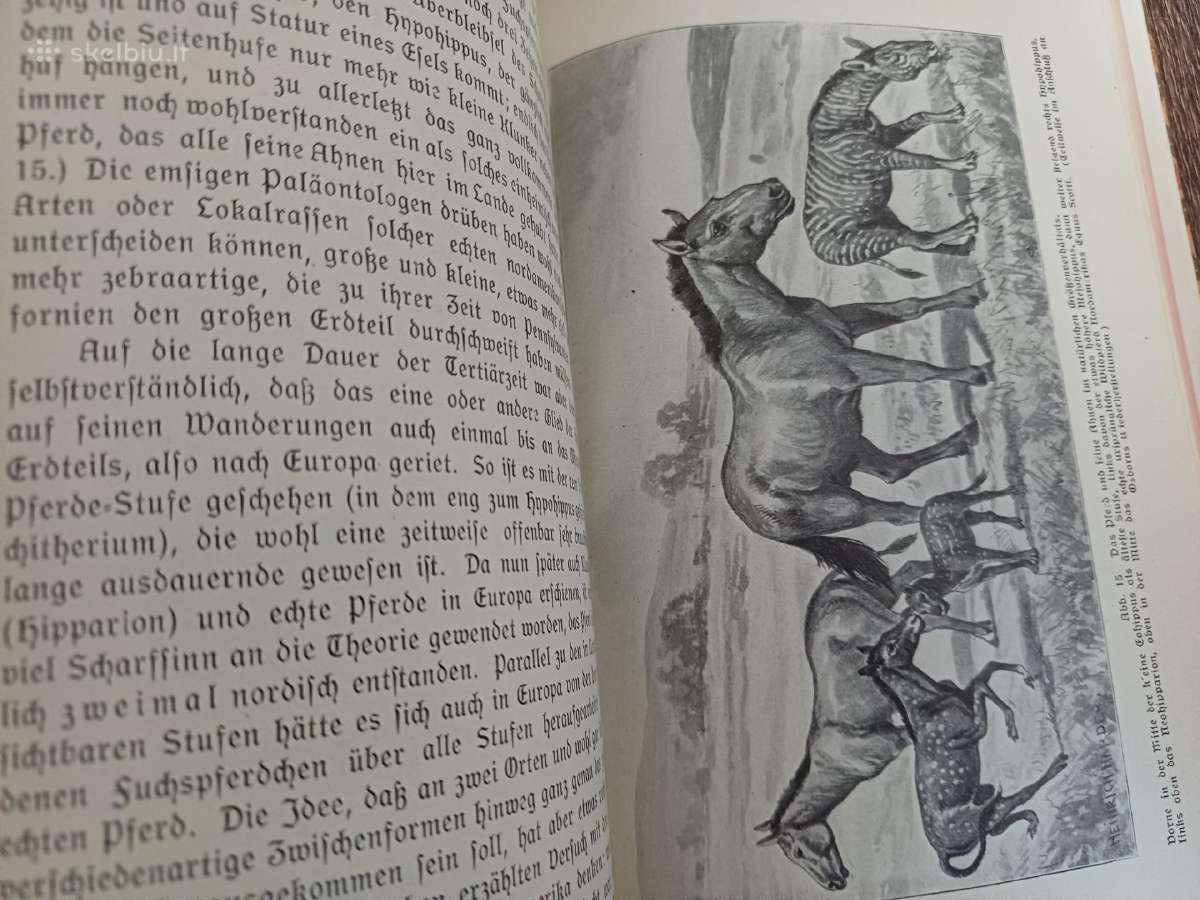 Parduodu knyga,1914m - nuotraukos Nr. 22