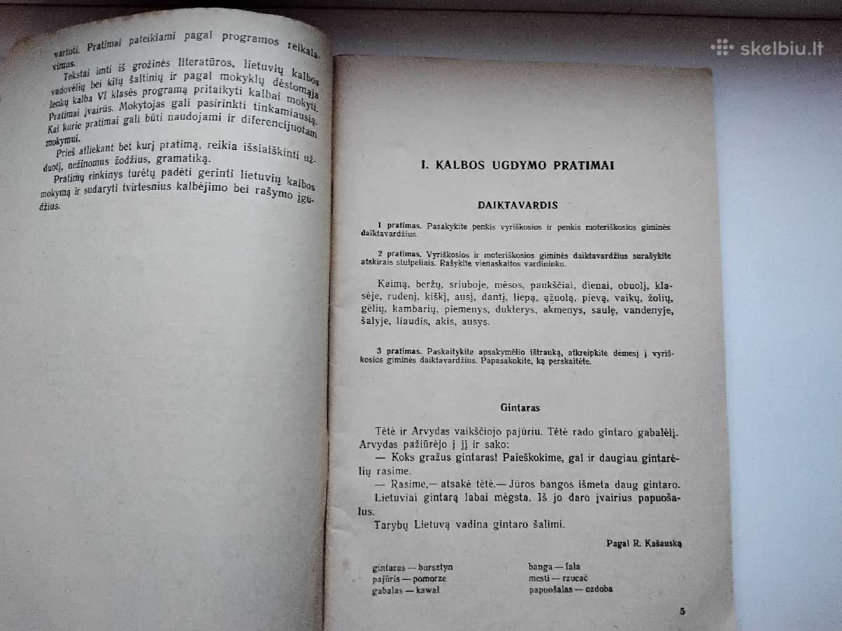 J. Aleksandravičius. Lietuvių k. pratimai - nuotraukos Nr. 3