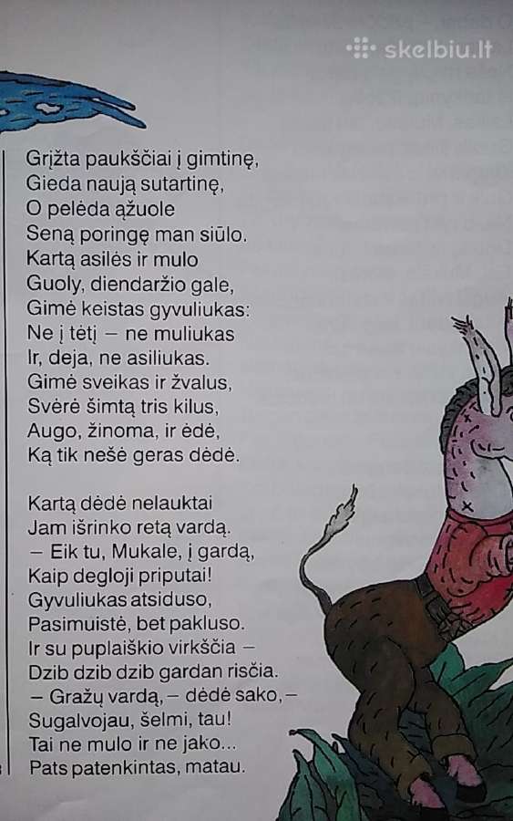 Skruzdėlytė po kanopa - nuotraukos Nr. 4