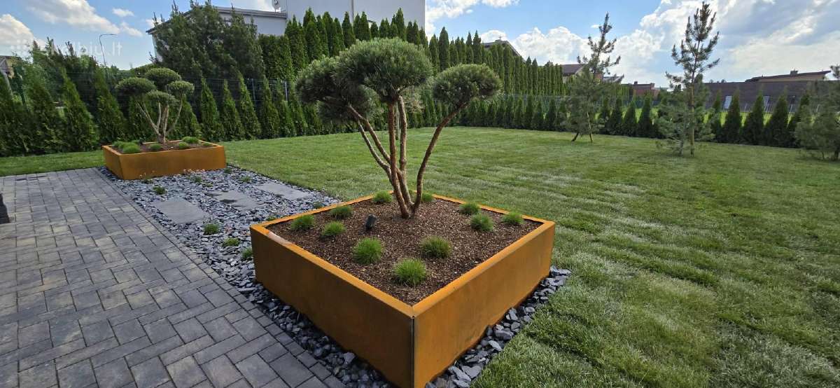 Išskirtiniai corten metalo vazonai - nuotraukos Nr. 4