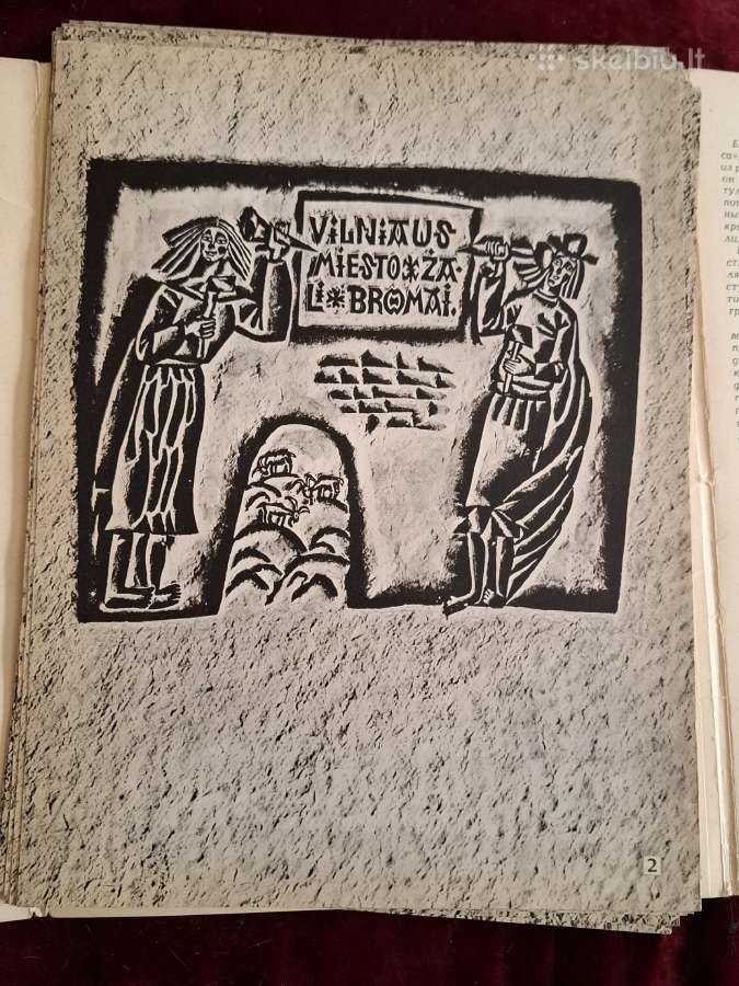 Tarabilda - nuotraukos Nr. 6