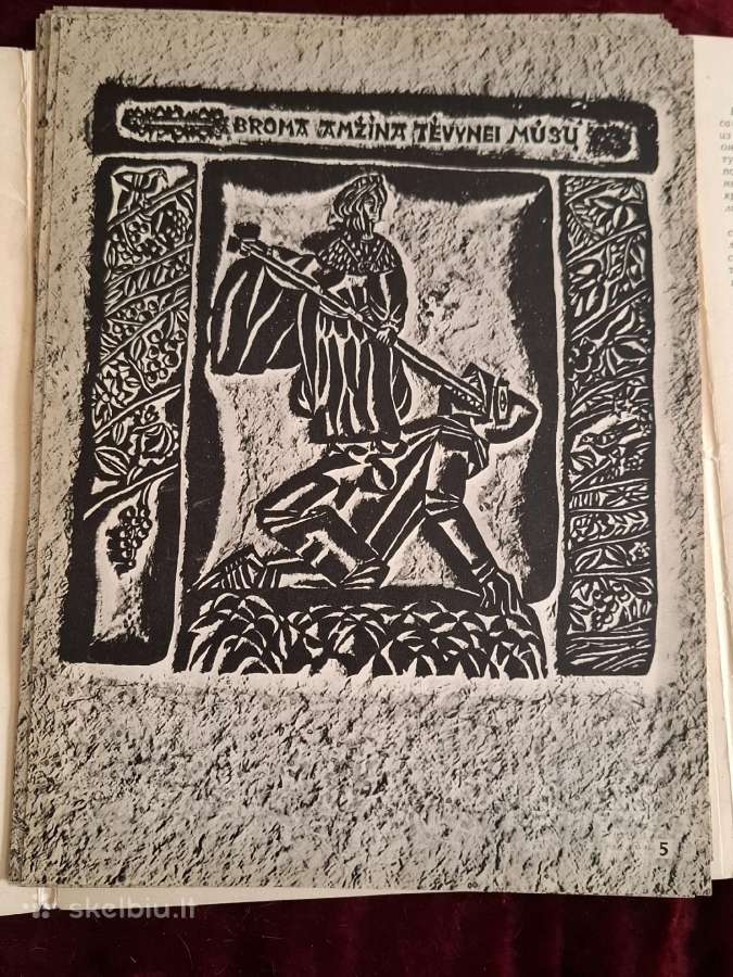 Tarabilda - nuotraukos Nr. 9