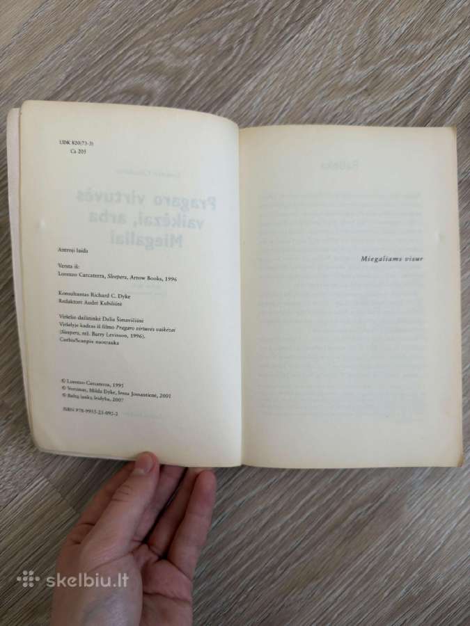 Lorenzo Carcaterra Pragaro virtuvės vaikėzai arba - nuotraukos Nr. 6