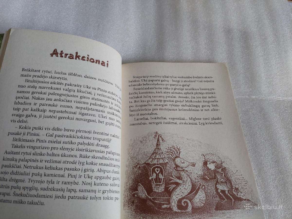 Kalvėnų miesto paslaptis - nuotraukos Nr. 2