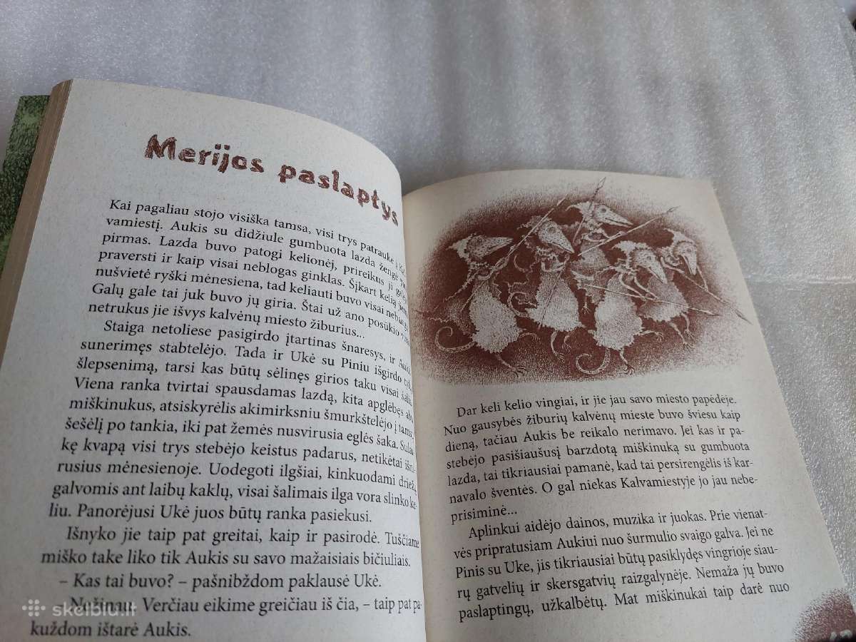 Kalvėnų miesto paslaptis - nuotraukos Nr. 3