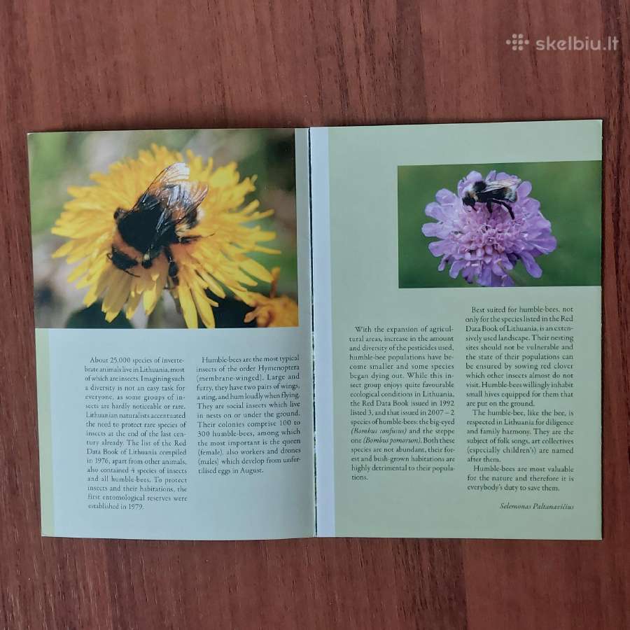 Lankstinukas 2008 m. Kamanė / Bombus - nuotraukos Nr. 5