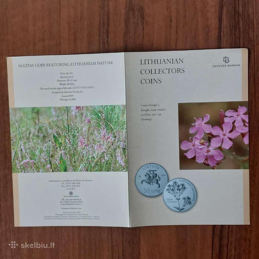 L-as 2009 Lietuvinė naktižiedė / Silene Lithuanica - nuotraukos Nr. 4