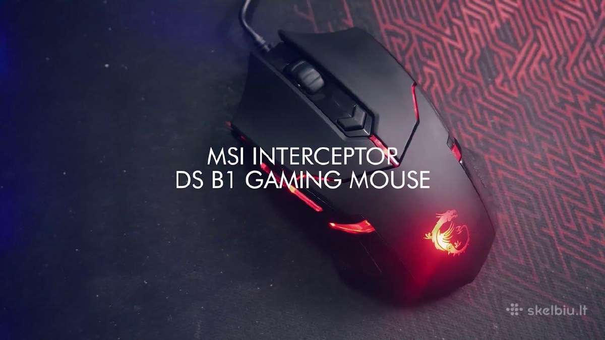 Laidinė žaidimų pelė Msi Interceptor DS B1