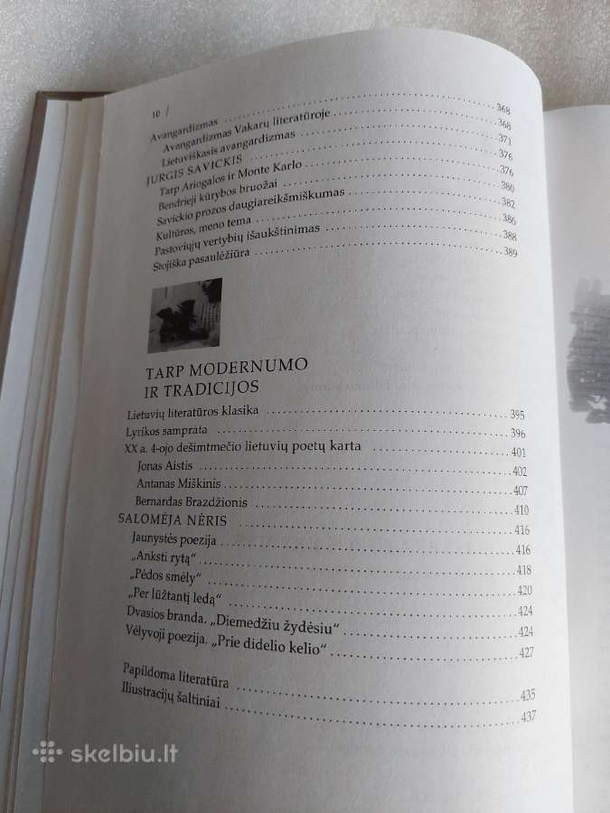 Literatūra 11-12 klasei - nuotraukos Nr. 5