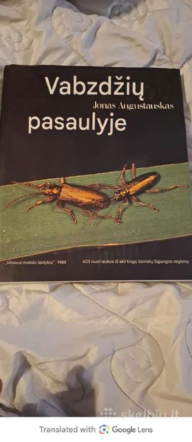 „Vabzdžių pasaulyje“ - nuotraukos Nr. 2