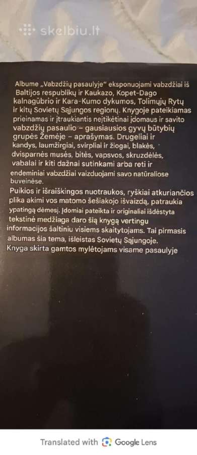 „Vabzdžių pasaulyje“ - nuotraukos Nr. 3
