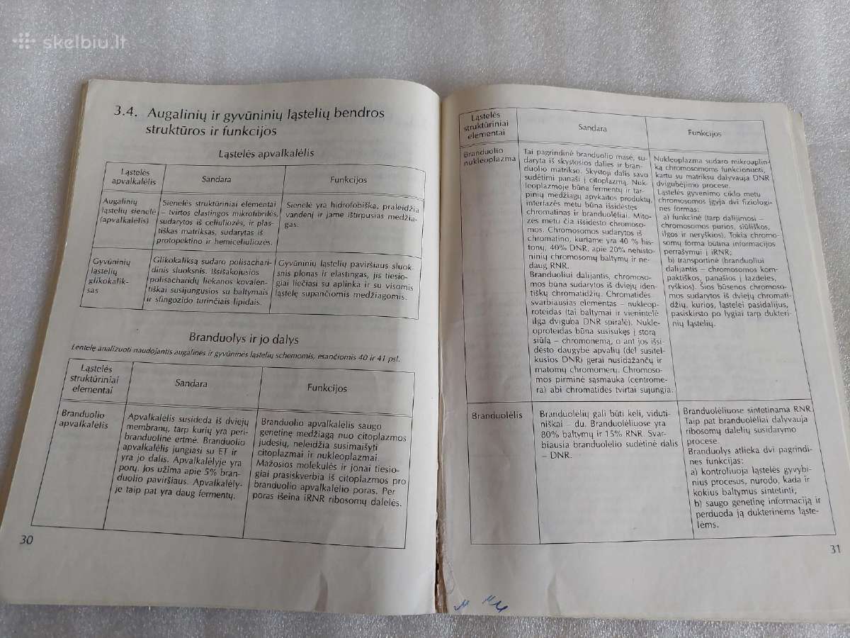 Bendroji biologija - nuotraukos Nr. 6