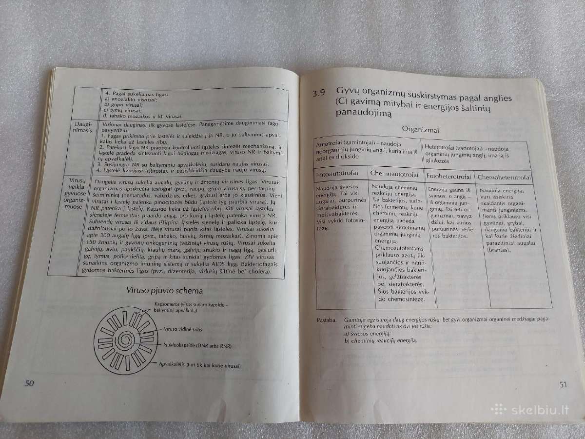 Bendroji biologija - nuotraukos Nr. 7