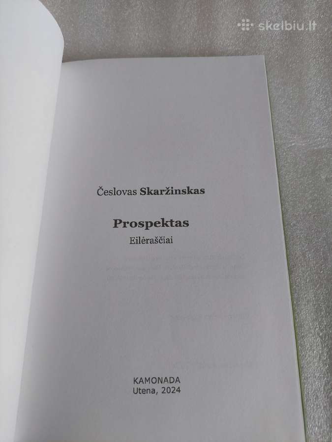 Prospektas - nuotraukos Nr. 2