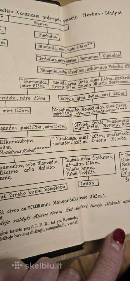 Teodoras Narbutas "Lietuvių tautos istorija" 3 kn. - nuotraukos Nr. 7