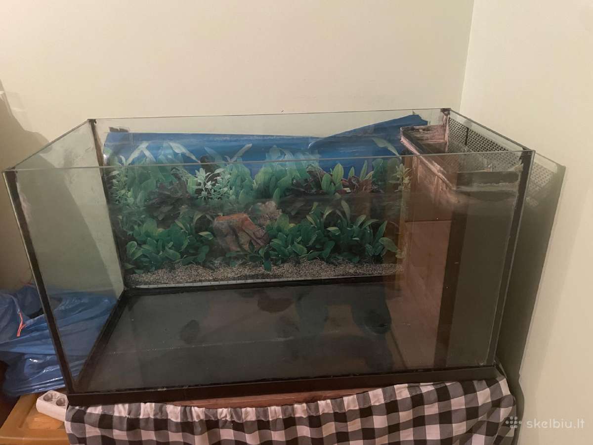 Akvariumas 200l - nuotraukos Nr. 4