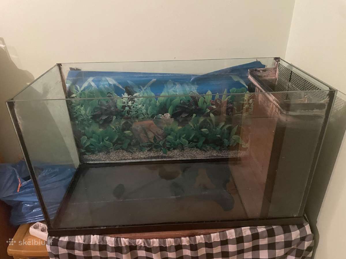 Akvariumas 200l - nuotraukos Nr. 7