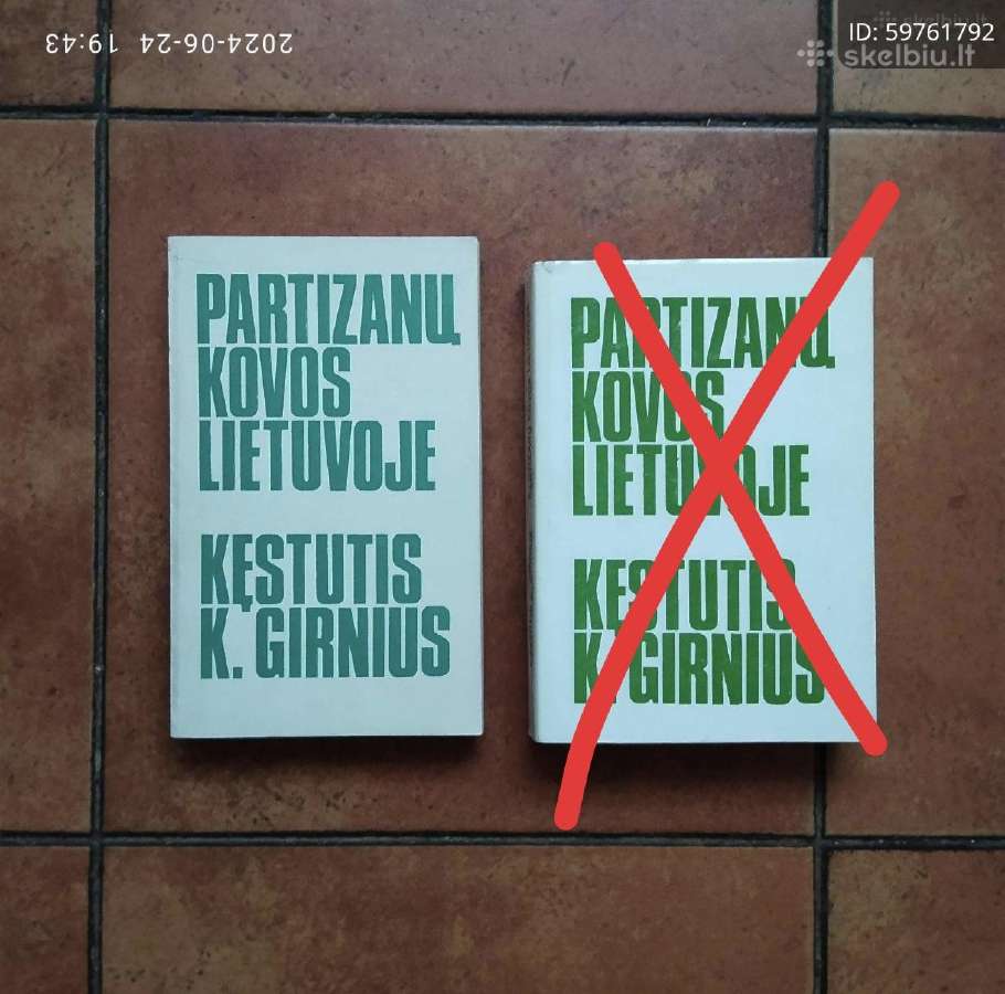 Kęstutis K. Girnius "Partizanų kovos Lietuvoje"