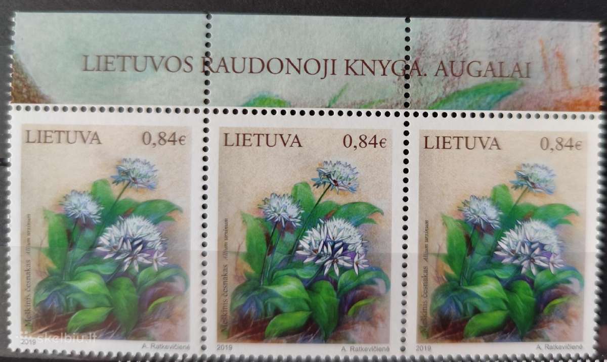 Lietuva 2019 - nuotraukos Nr. 2