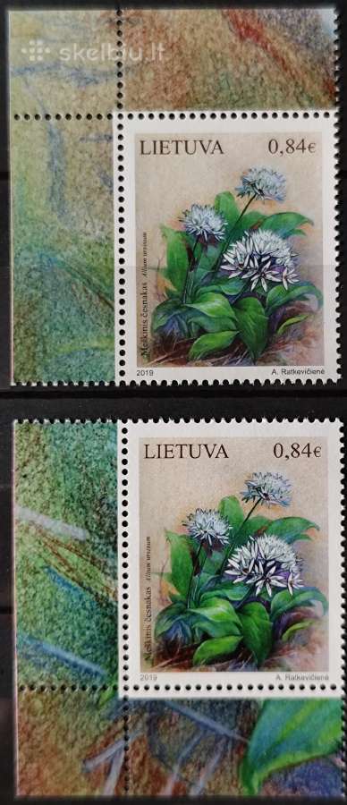 Lietuva 2019 - nuotraukos Nr. 3