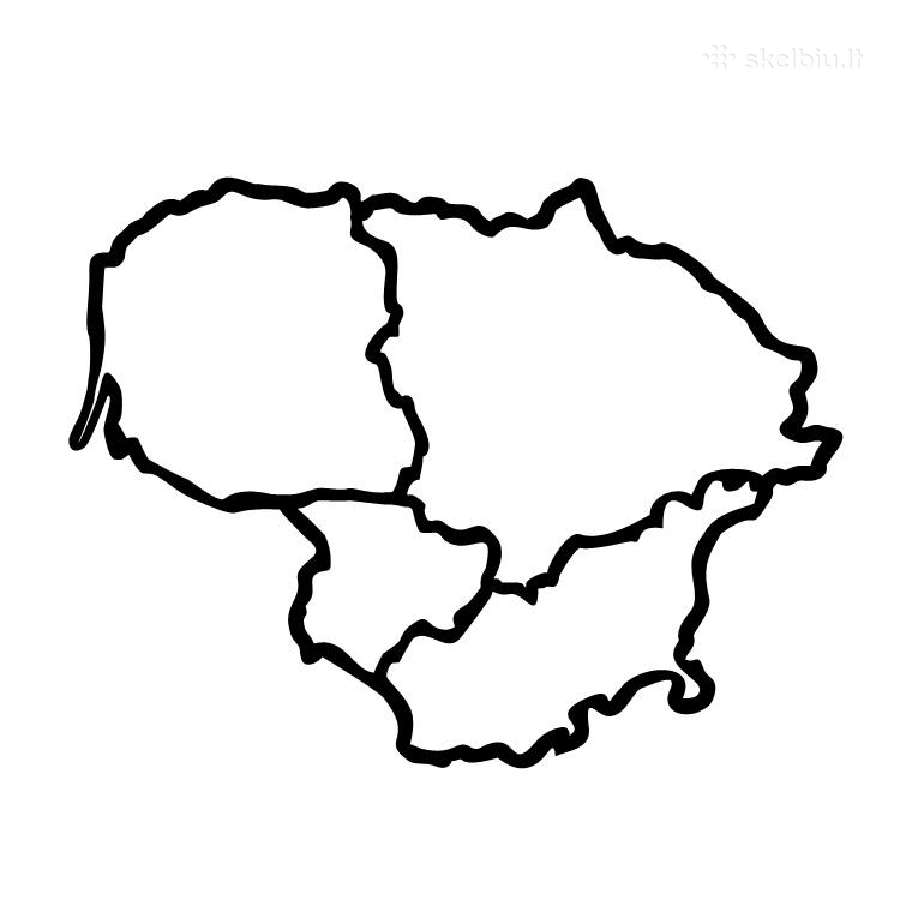Paveikslas iš metalo “Lietuva