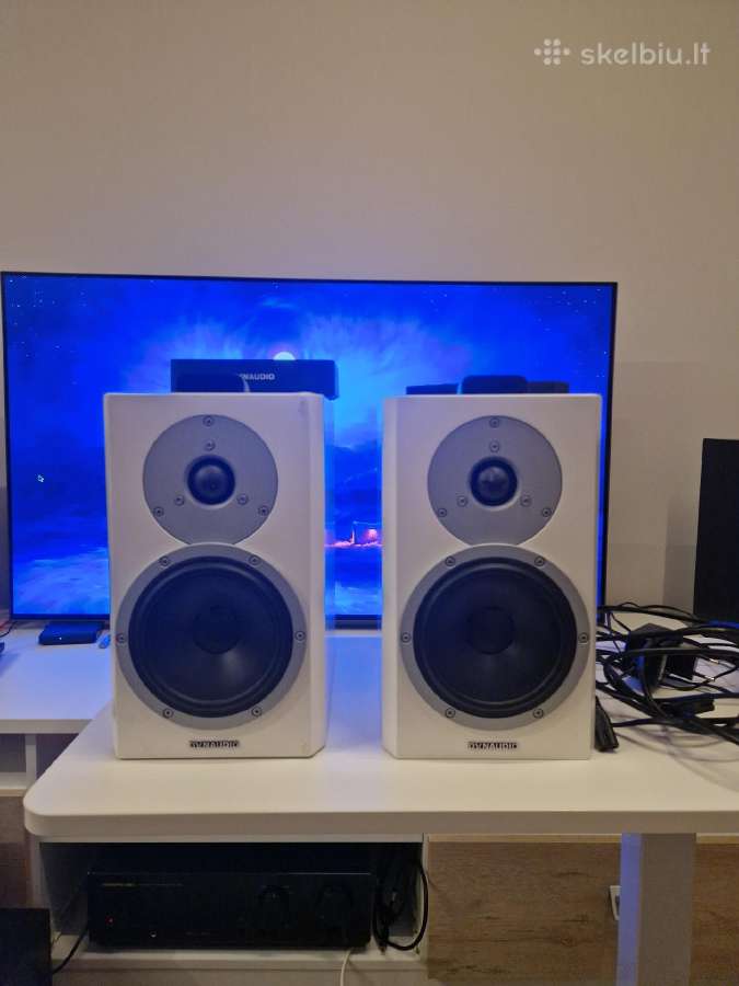 Dynaudio Xeo4
