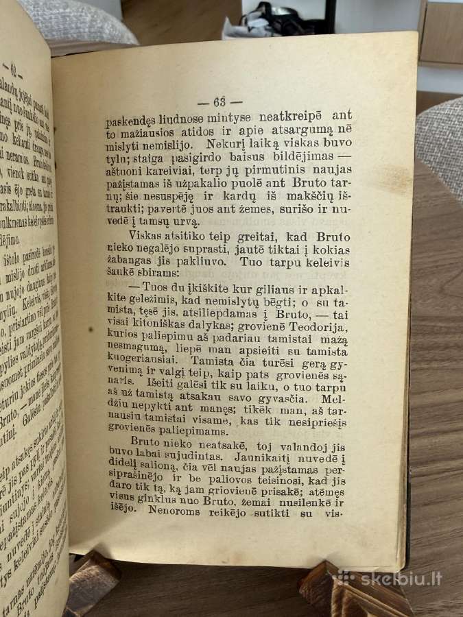 Po priedanga Šventenybės. Istoriška apysaka 1905 - nuotraukos Nr. 6