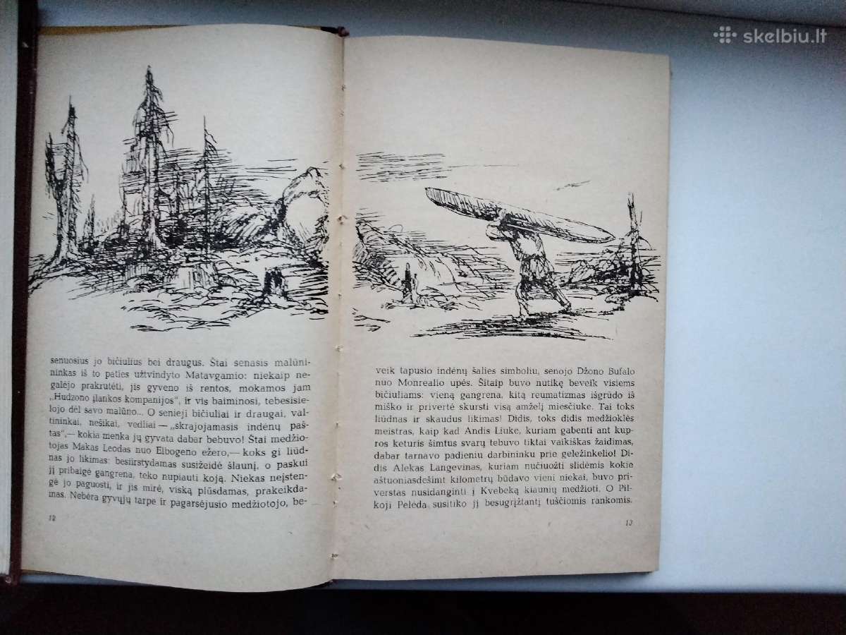 M. Prišvinas. Pilkoji Pelėda. 1971 m. leid. - nuotraukos Nr. 4