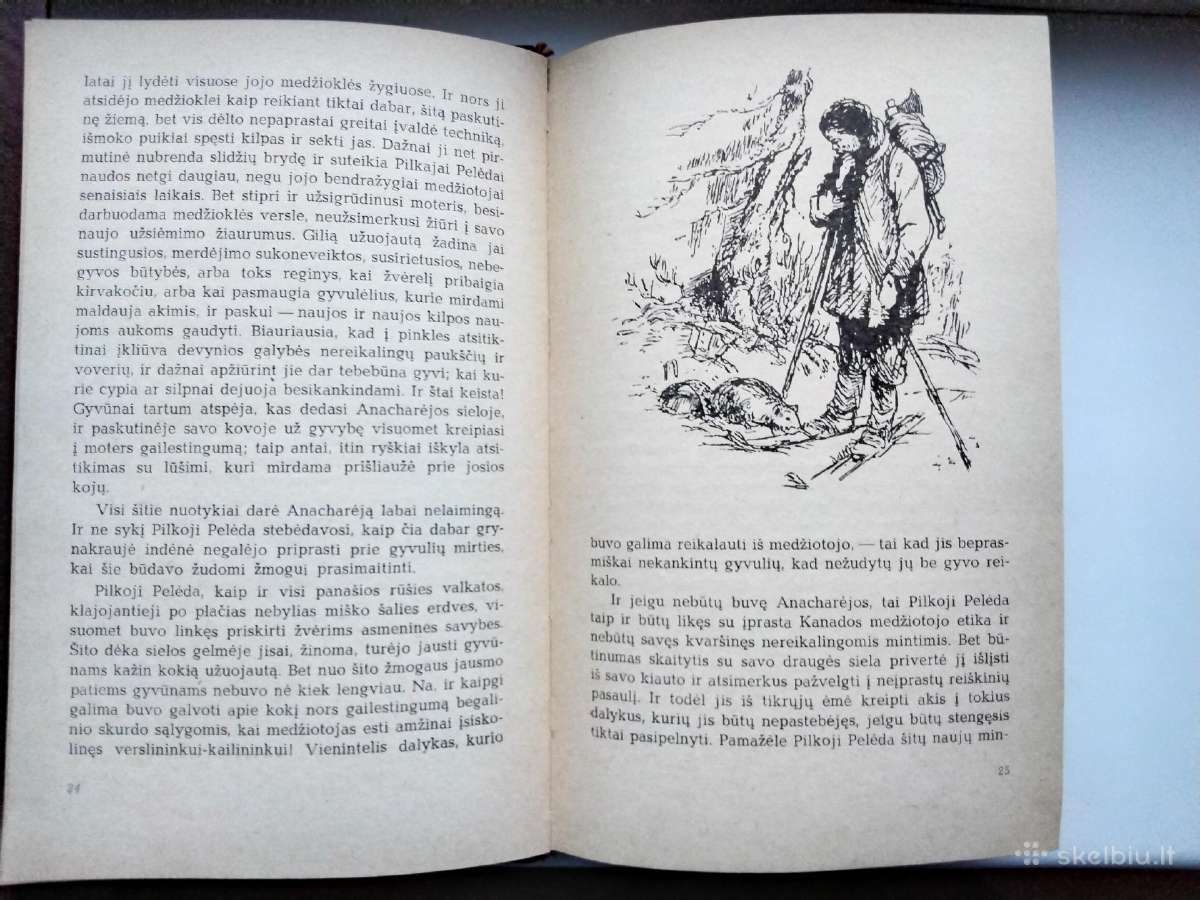 M. Prišvinas. Pilkoji Pelėda. 1971 m. leid. - nuotraukos Nr. 6