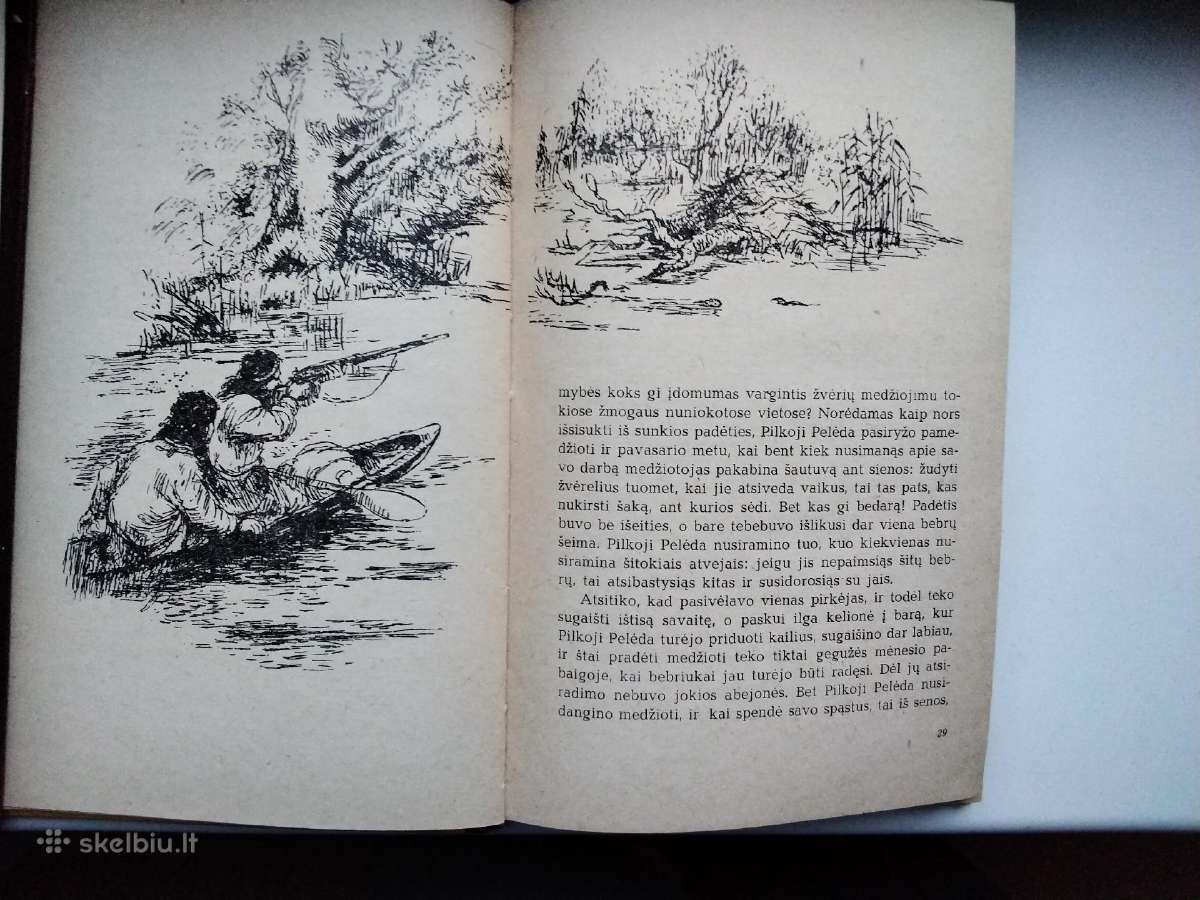 M. Prišvinas. Pilkoji Pelėda. 1971 m. leid. - nuotraukos Nr. 7