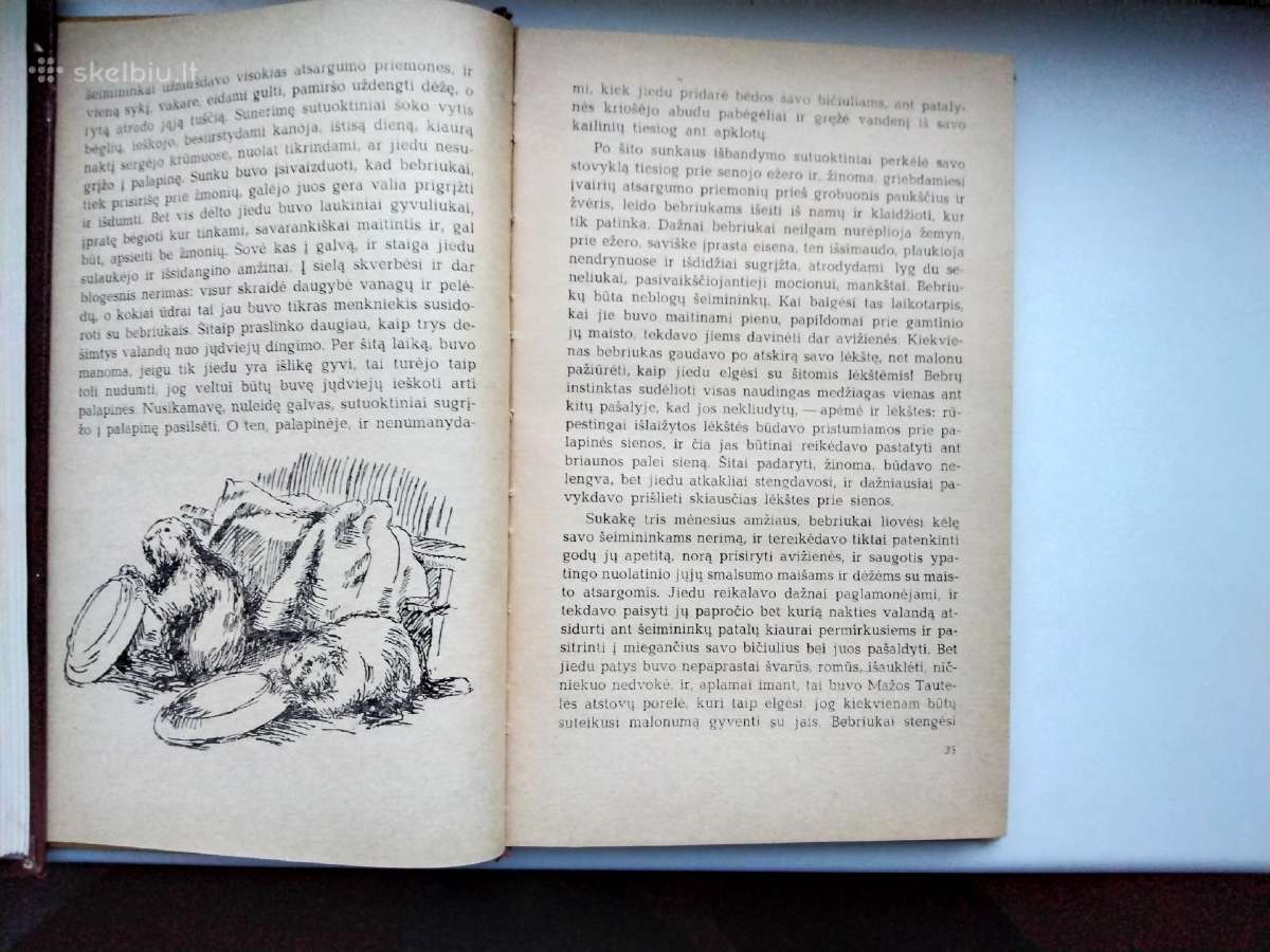 M. Prišvinas. Pilkoji Pelėda. 1971 m. leid. - nuotraukos Nr. 8