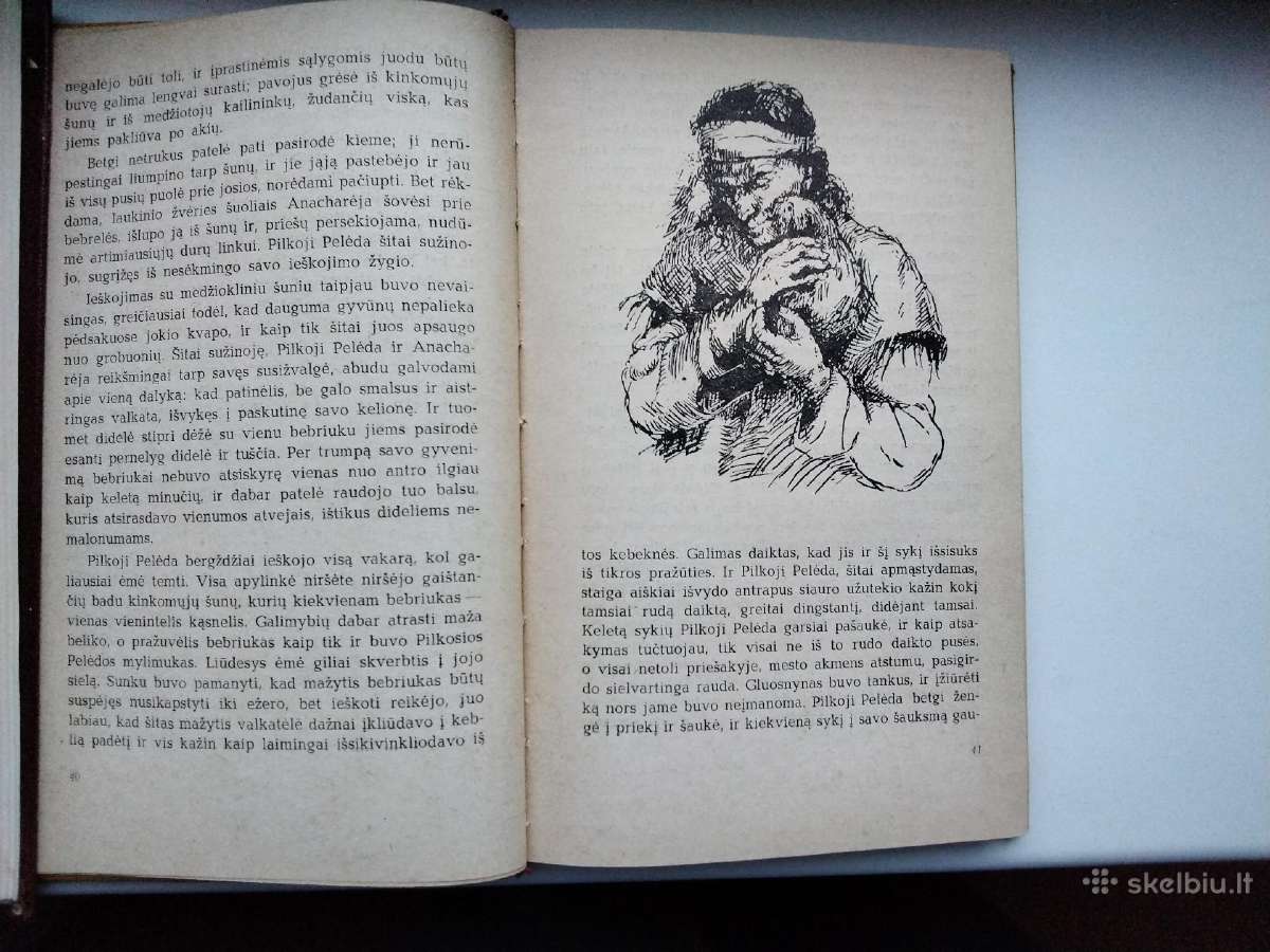 M. Prišvinas. Pilkoji Pelėda. 1971 m. leid. - nuotraukos Nr. 9