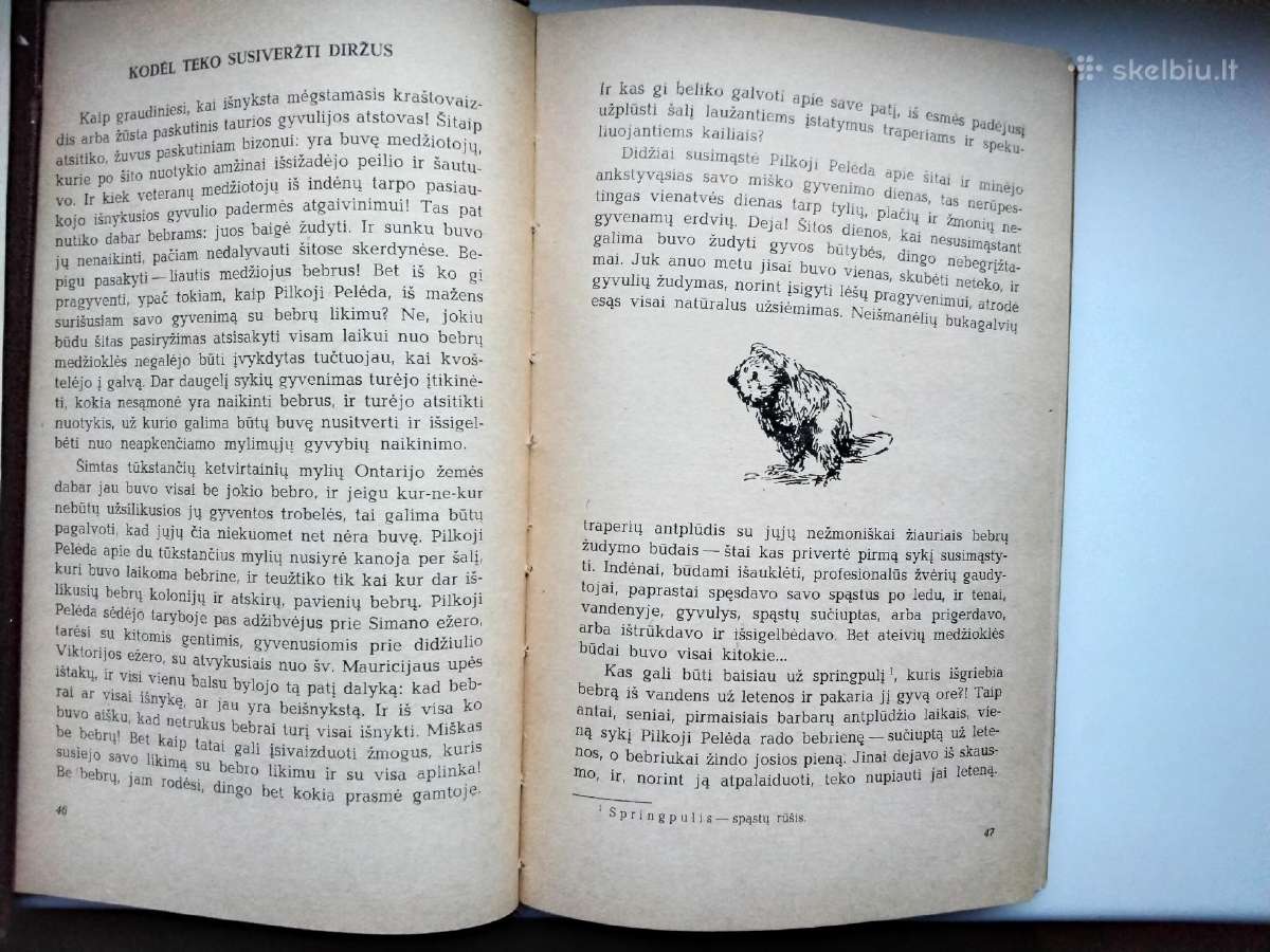 M. Prišvinas. Pilkoji Pelėda. 1971 m. leid. - nuotraukos Nr. 10