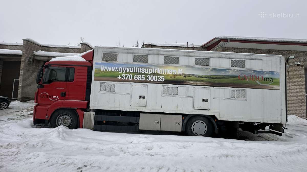 Galvijų supirkimas ,