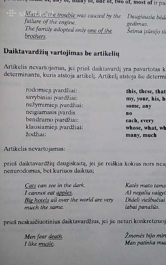 Anglų kalbos gramatika vidurinėms mokykloms - nuotraukos Nr. 3