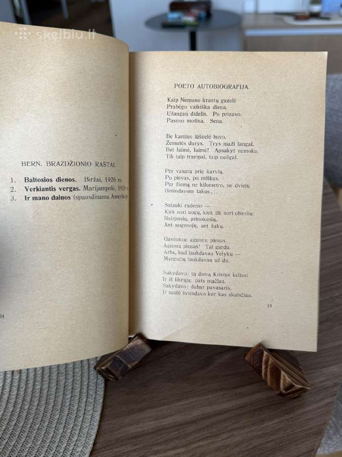 Pirmasis dešimtmetis 18 poetų 1929 m. - nuotraukos Nr. 3