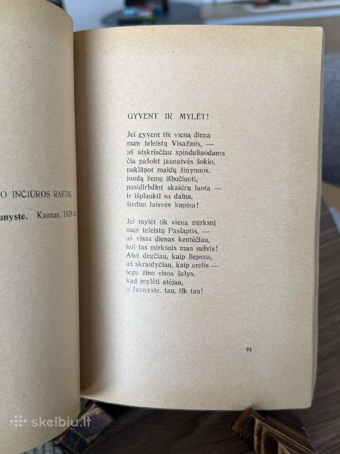 Pirmasis dešimtmetis 18 poetų 1929 m. - nuotraukos Nr. 4