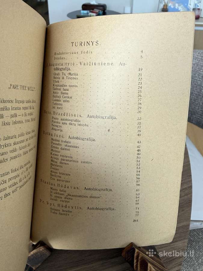 Pirmasis dešimtmetis 18 poetų 1929 m. - nuotraukos Nr. 7