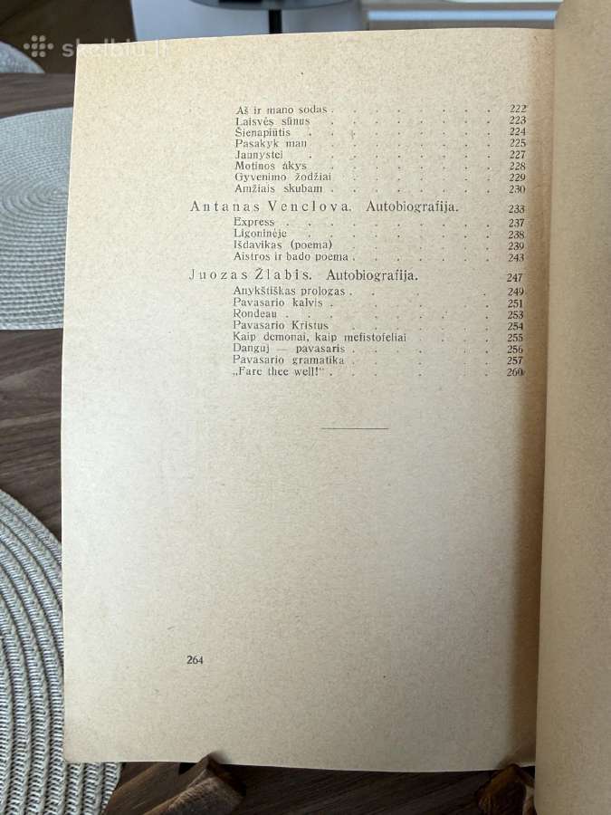 Pirmasis dešimtmetis 18 poetų 1929 m. - nuotraukos Nr. 8