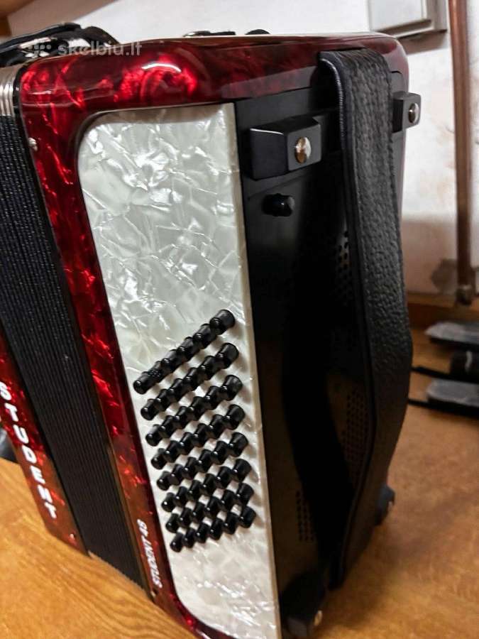 Kaip naujas Hohner Student 48b. - nuotraukos Nr. 3