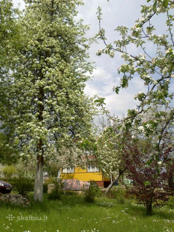 Sodo namas su rūsiu ir garažu - nuotraukos Nr. 6