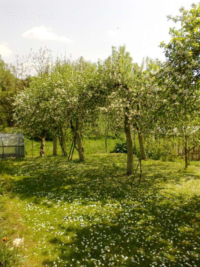 Sodo namas su rūsiu ir garažu - nuotraukos Nr. 7