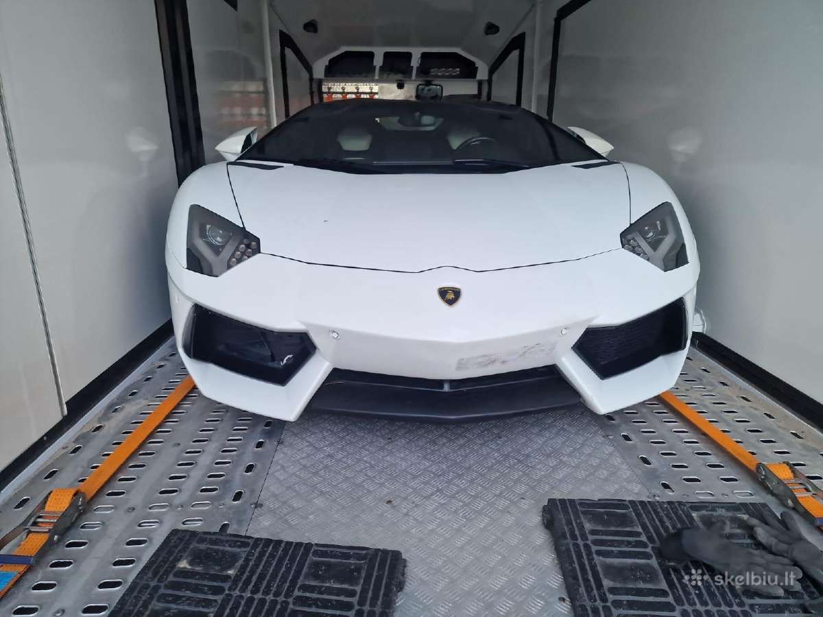 Automobilių pervežimas iš Europos į Lietuva, Tralo - nuotraukos Nr. 4