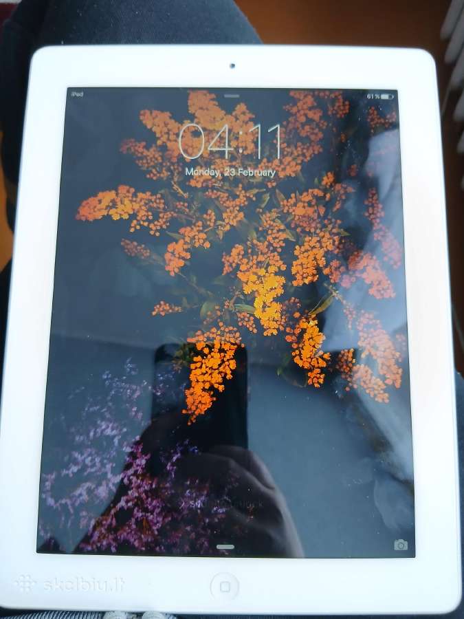 iPad