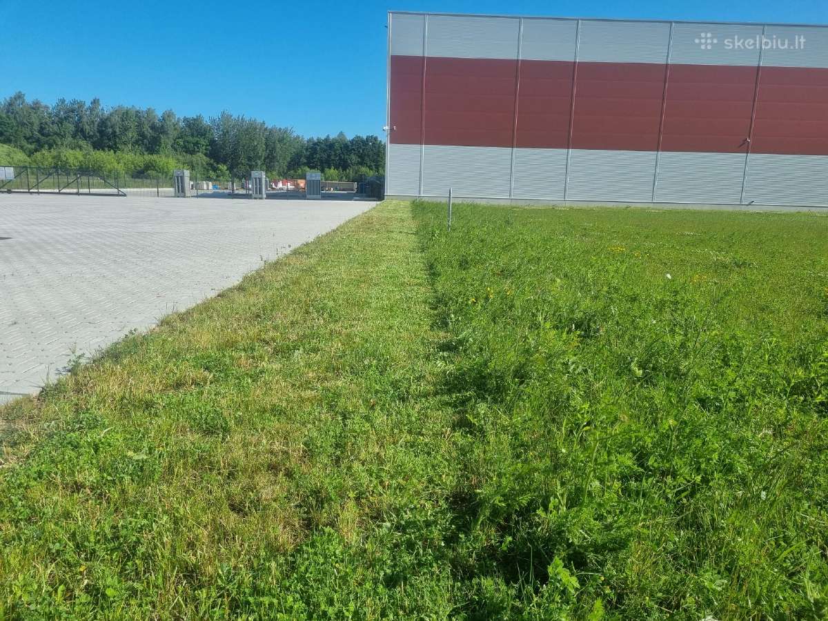 Žolės pjovimas, aplinkos tvarkymas - nuotraukos Nr. 9