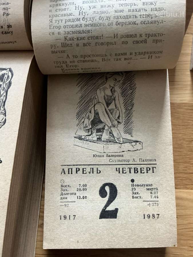Kalendoriaus lapeliai - nuotraukos Nr. 5
