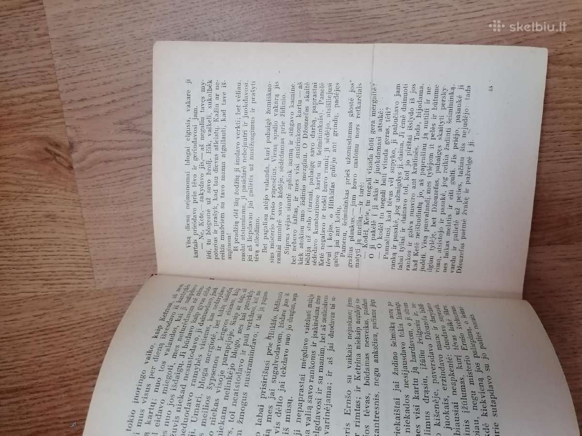 Vetru kalnas Emilija Bronte - nuotraukos Nr. 2
