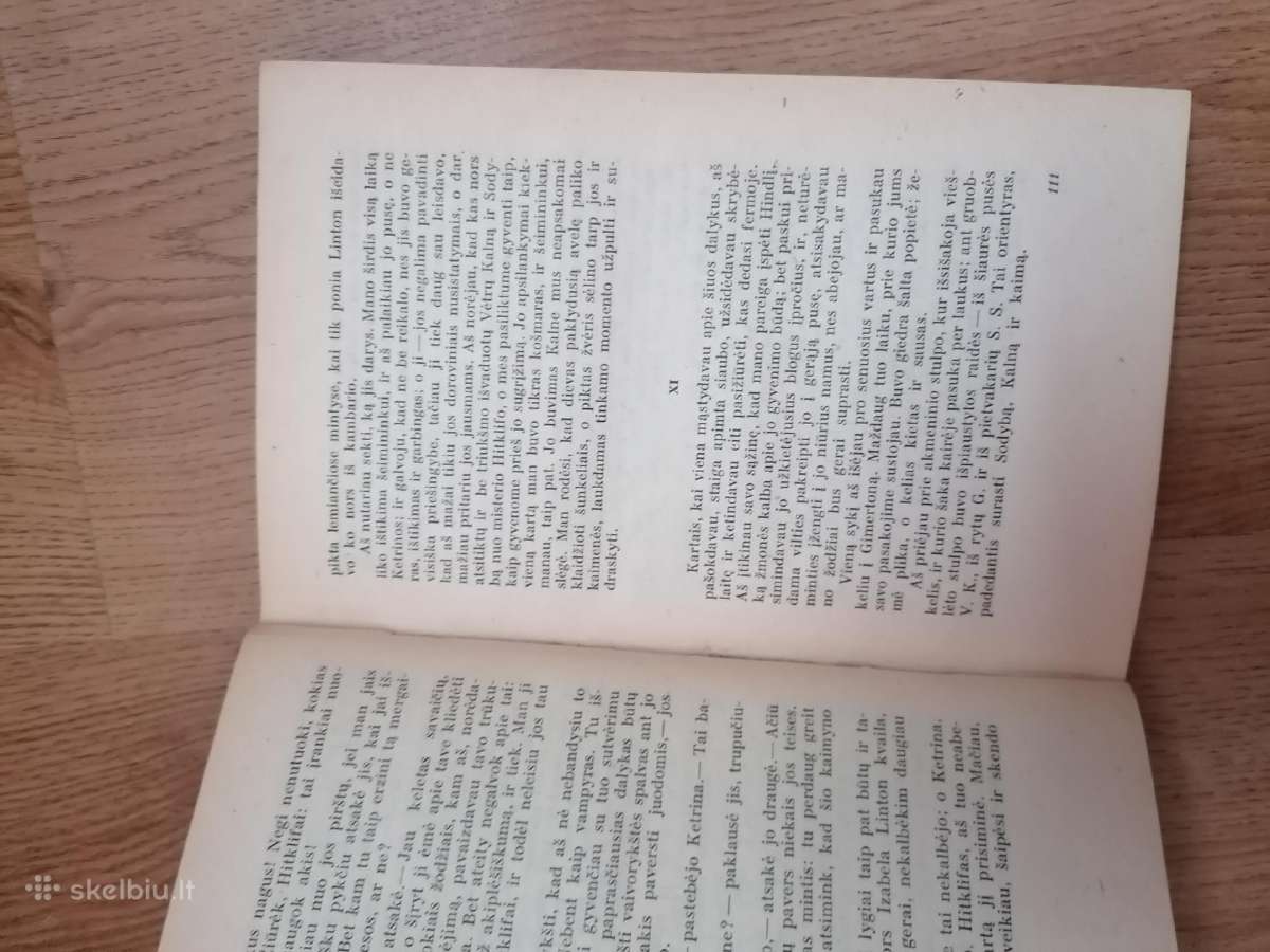 Vetru kalnas Emilija Bronte - nuotraukos Nr. 3